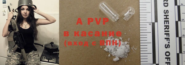 стафф Зерноград