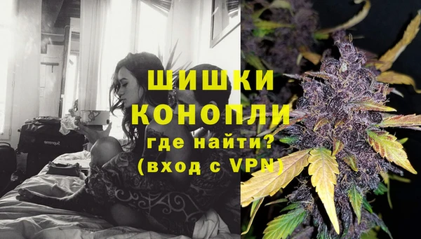 стафф Зерноград