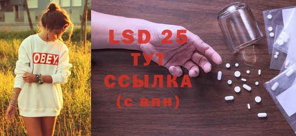 стафф Зерноград